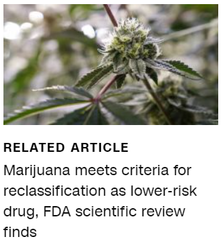 Marijuana meets criteria for reclassification as lower-risk drug, FDA scientific review finds